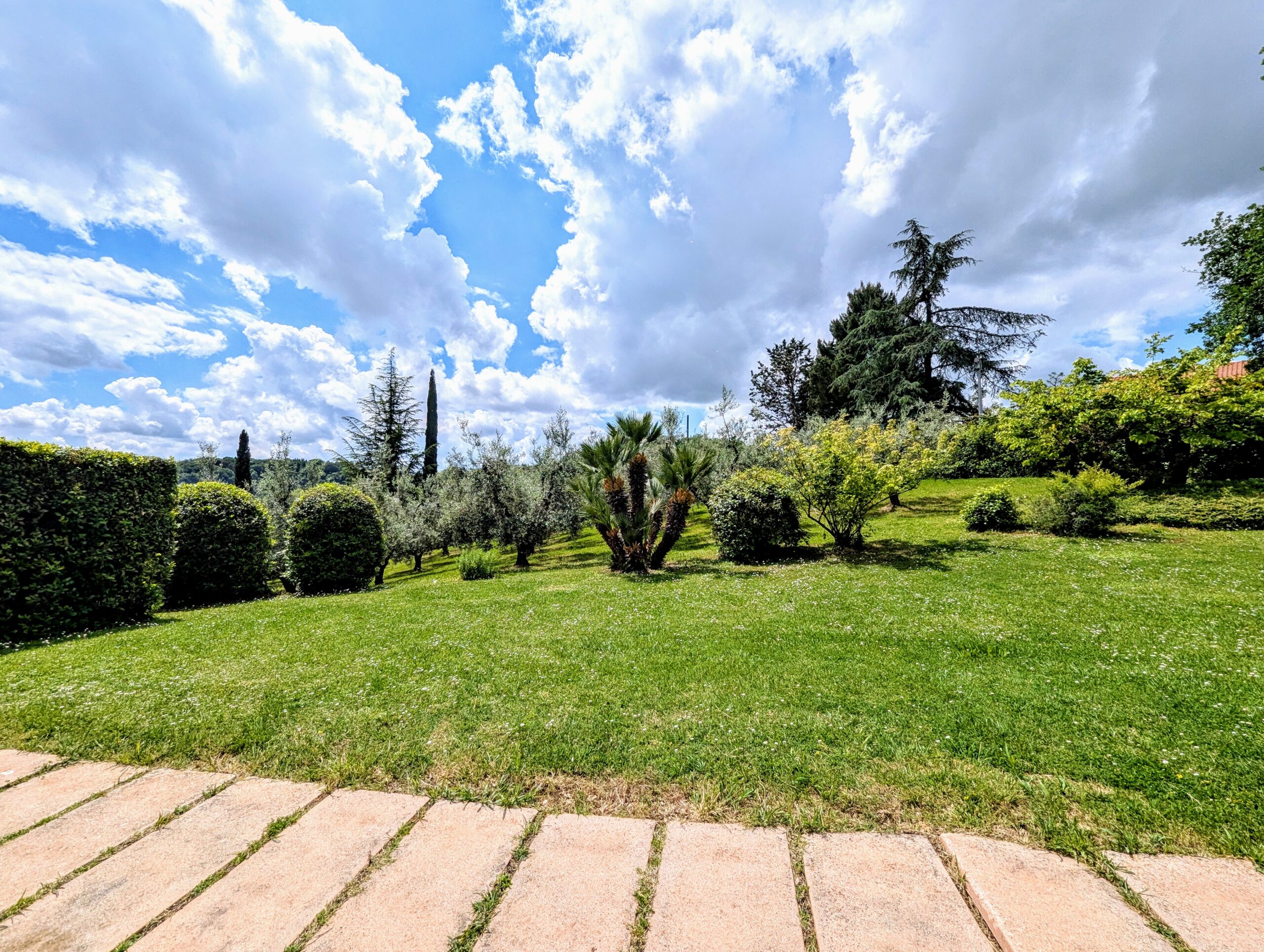 PXL_20250510_100157224.RAW-01.COVER~2