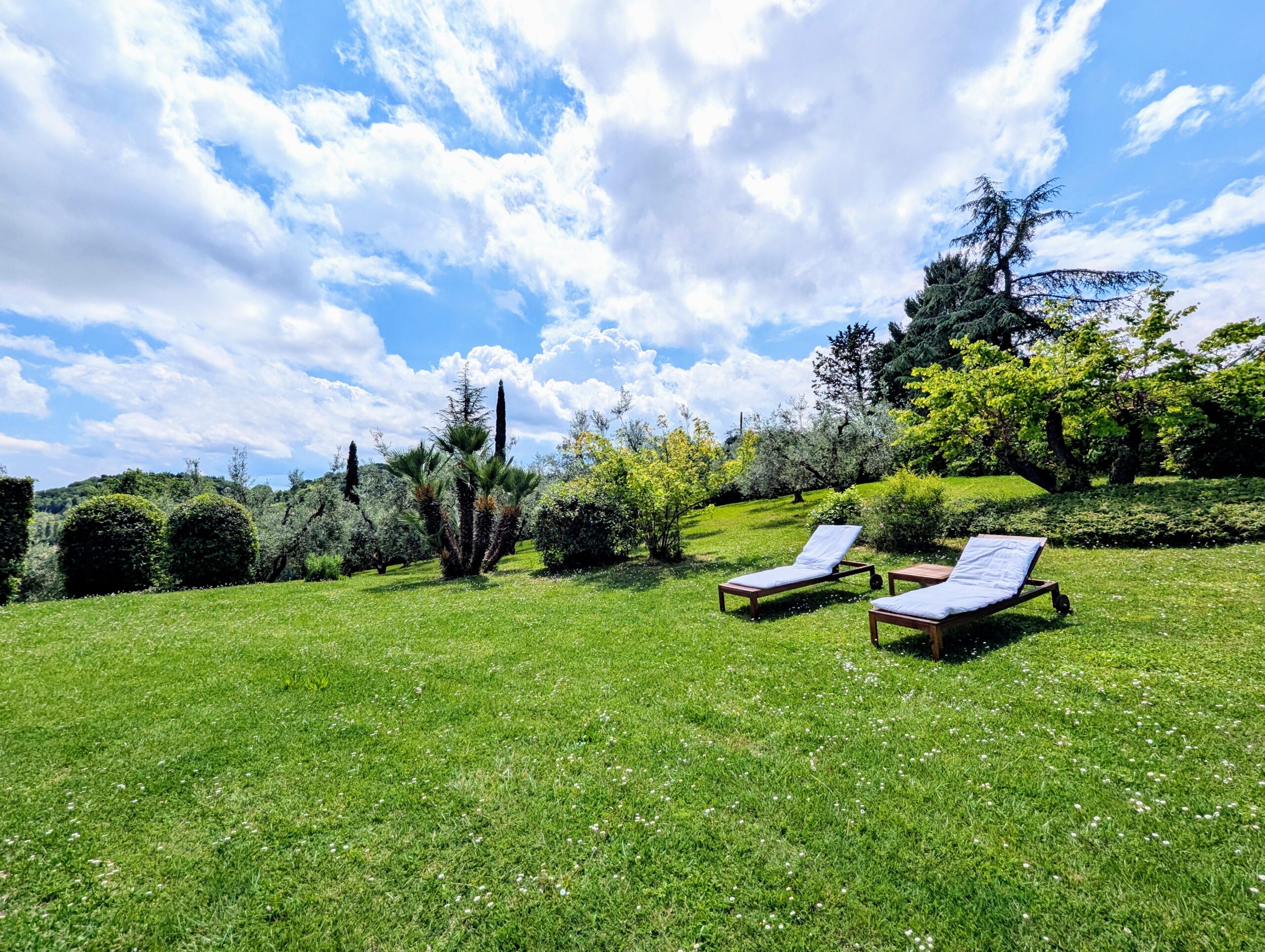 PXL_20250510_105812543.RAW-01.COVER~2