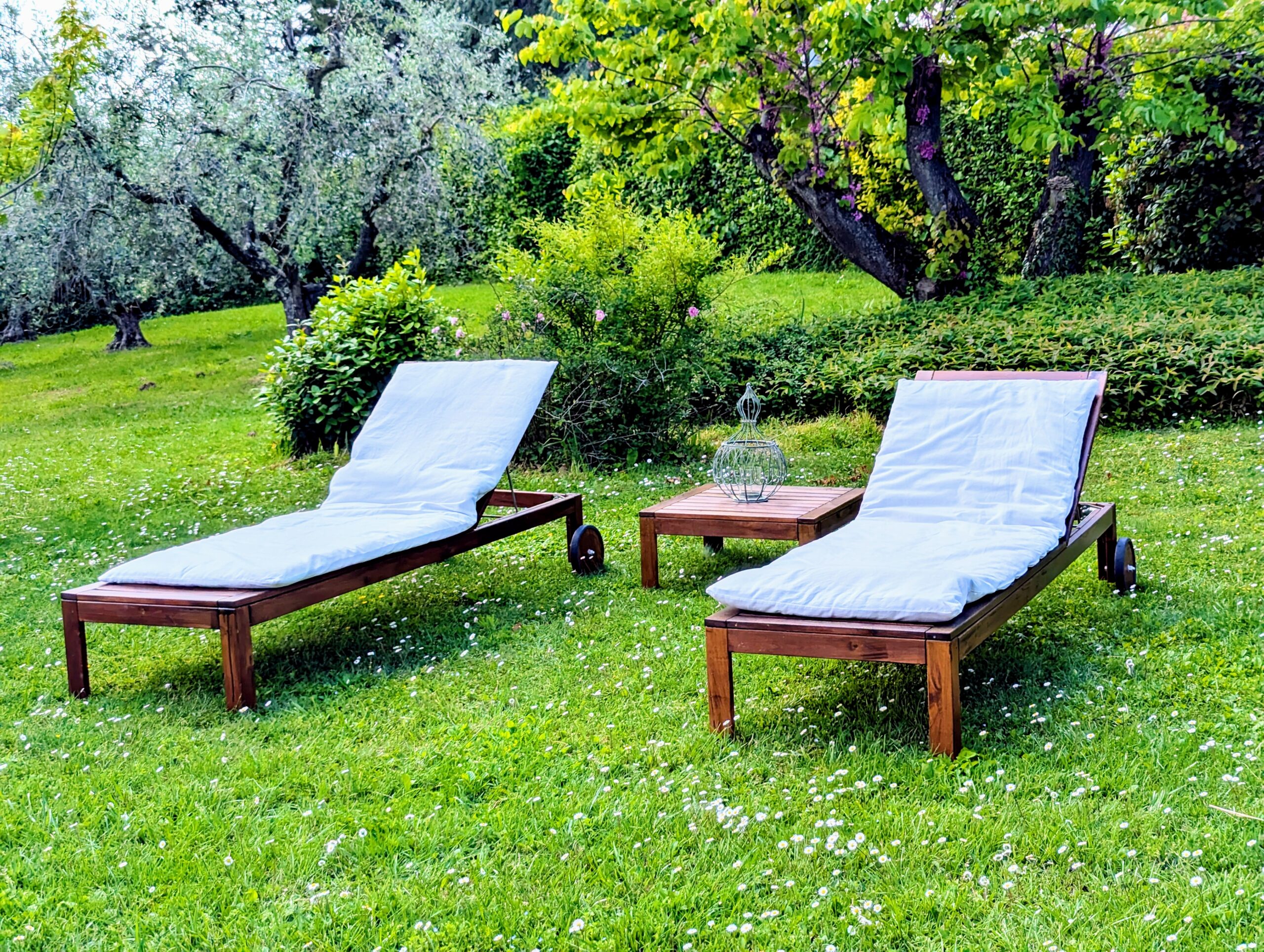 PXL_20250510_105934973.RAW-01.MP.COVER~2