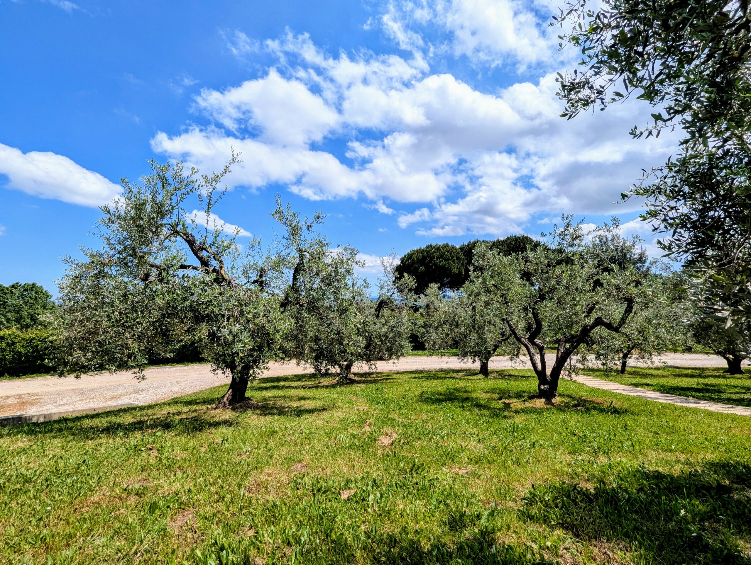 PXL_20250510_110529764.RAW-01.COVER~2