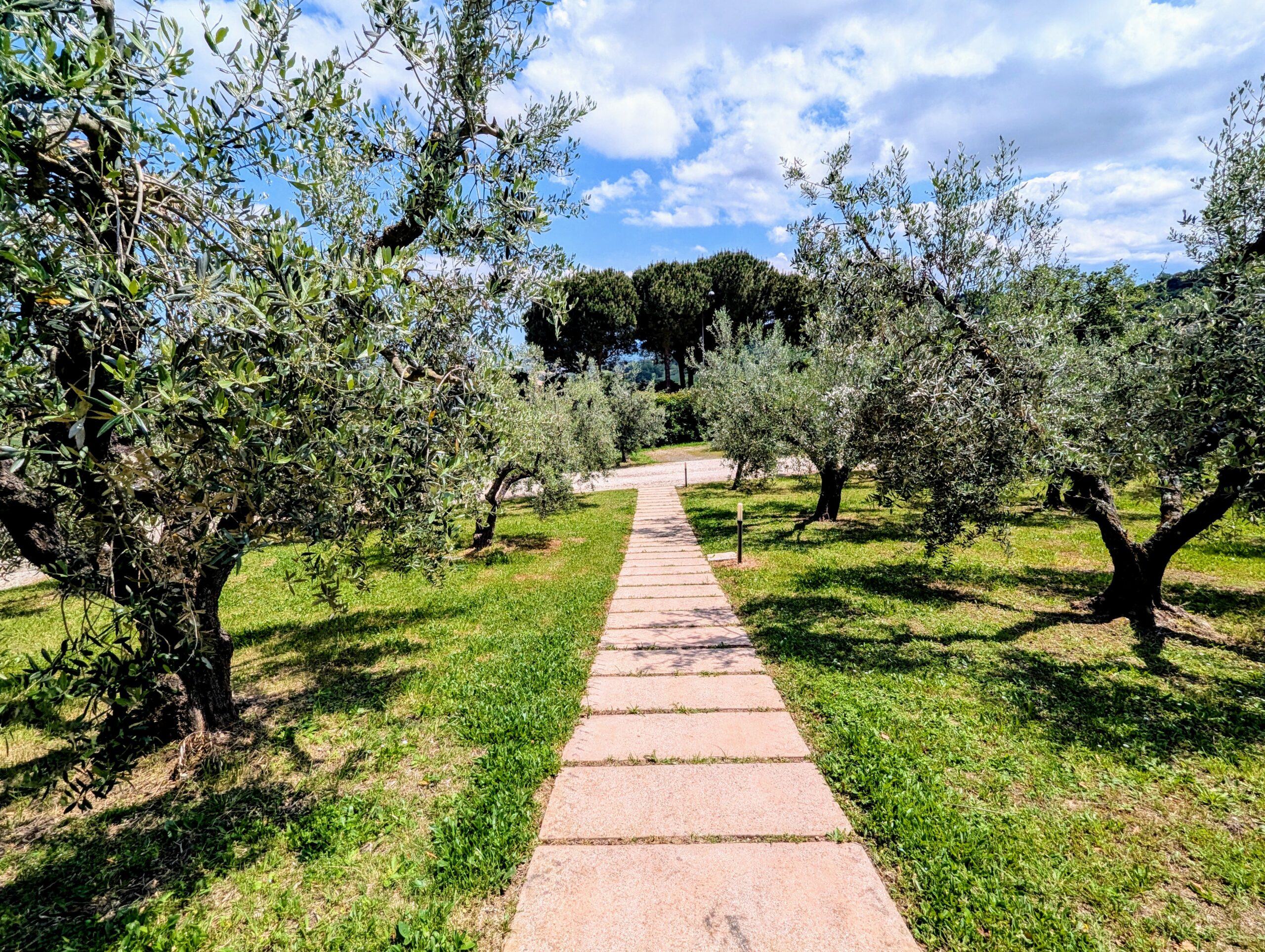 PXL_20250510_110554001.RAW-01.COVER~2