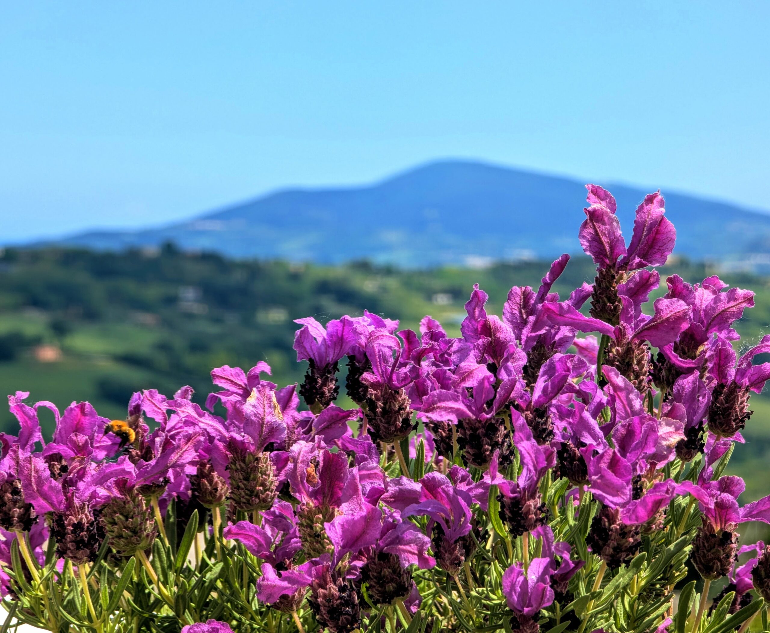 original_9334ffa9-8a77-45e1-bc68-9b7939443328_PXL_20250510_110413190.RAW-01.COVER~2