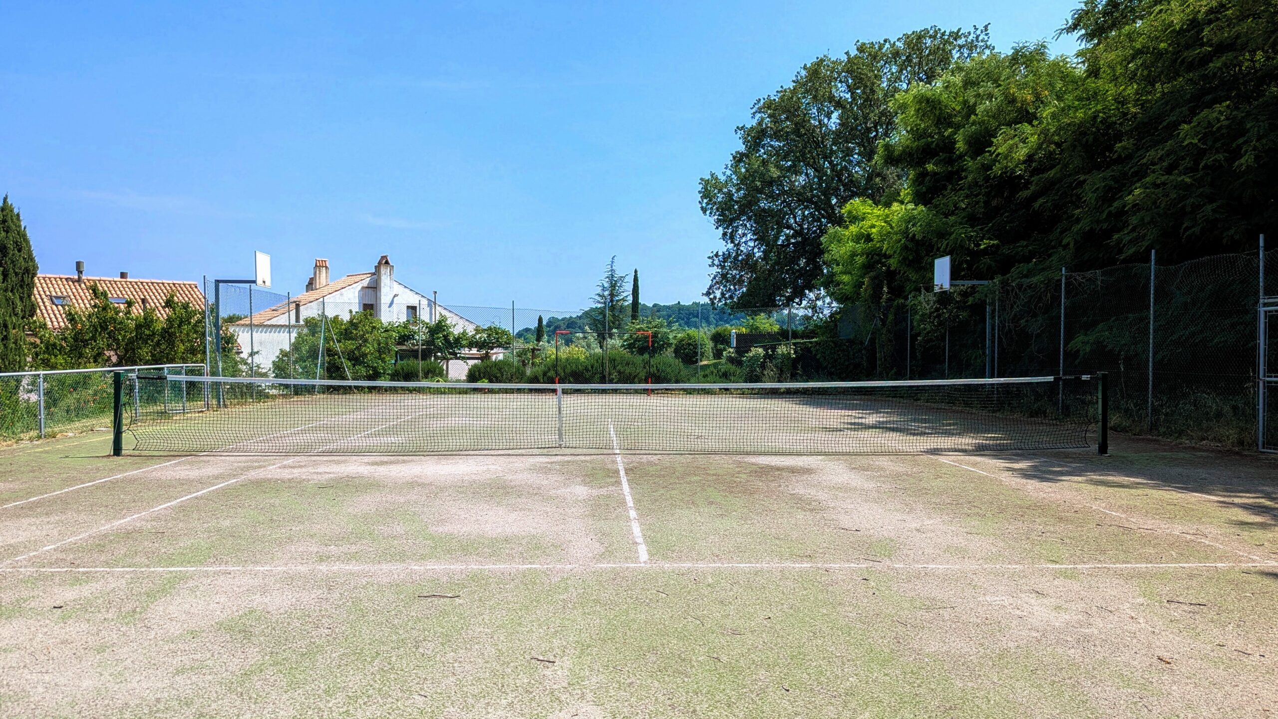 PXL_20250611_125158927.RAW-01.MP.COVER~3